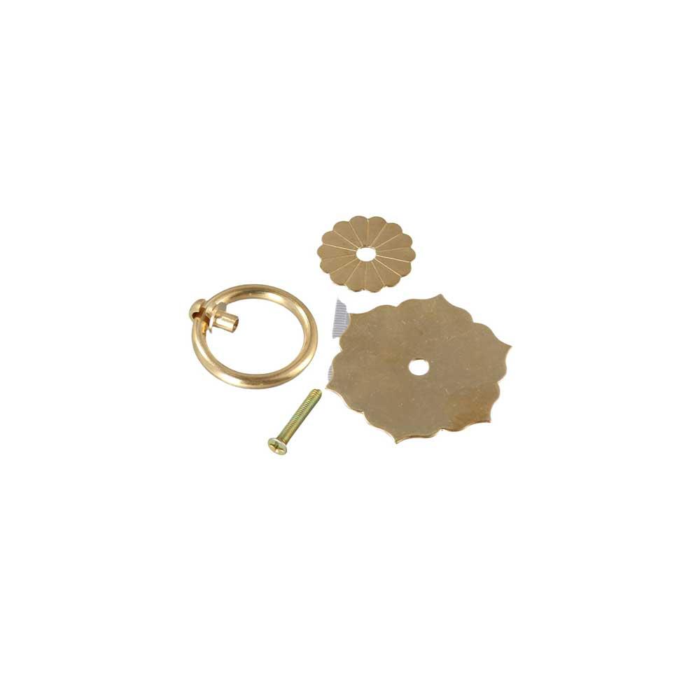 Furniture Hardware Drop Pulls - لوحة خلفية من النحاس البرونزي، مقبض
